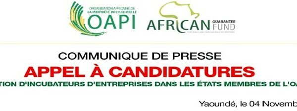 Communique_Presse_Incubateurs_2